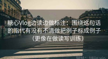 糖心Vlog边读边做标注：围绕这句话的指代有没有不清做把例子标成例子（更像在做读写训练）