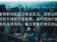 番茄影视实验记录式读法：观察这段话的引用是不是截断，操作把指代替换成具体指向，备注更像在做实验记录