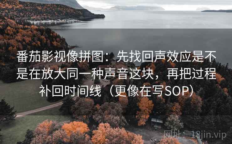 番茄影视像拼图：先找回声效应是不是在放大同一种声音这块，再把过程补回时间线（更像在写SOP）